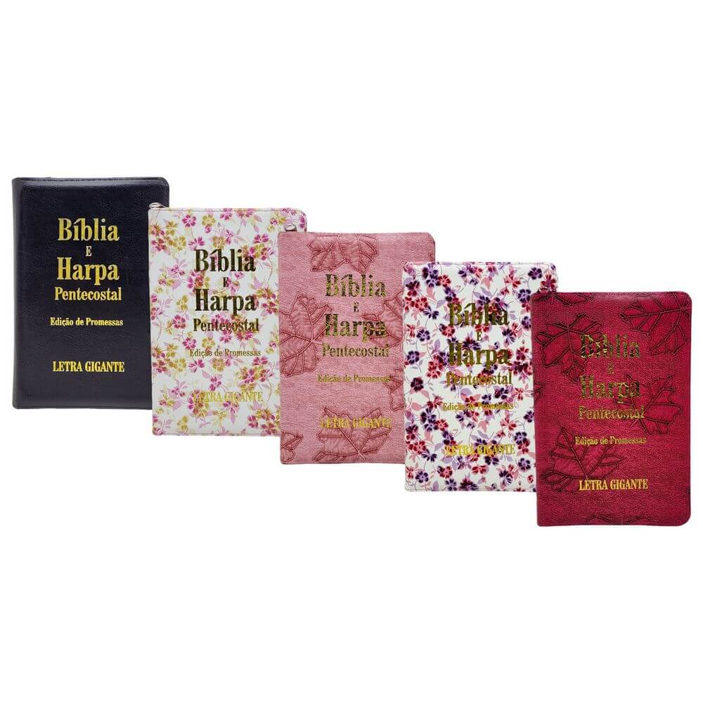 BIBLIA ADULTO C/ ZIPER GD CORES 45460 BIBLIA C/ ZIPER GD CORES 45460, BIBLIA, BIBLIA COM ZIPER, BIBLIA LETRA GIGANTE, BIBLIA GD CORES, CRISTAO, LIVRO, RELIGIOSO Brinquedos